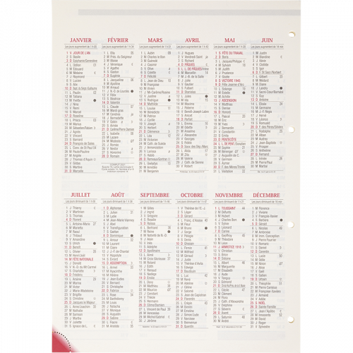 Recharge organiseur 21 international 2024 - Recharges agendas et