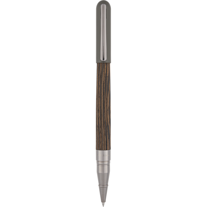 Stylo roller Delphes