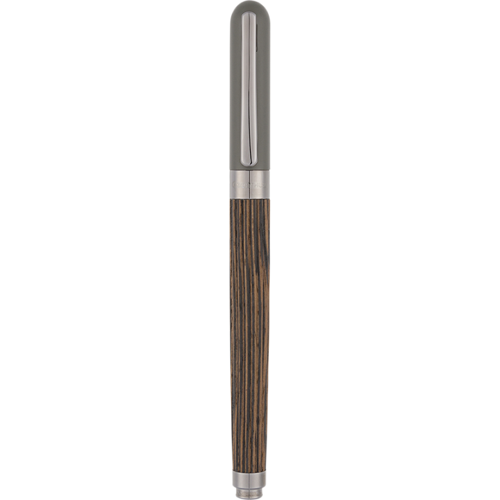 Stylo roller Delphes