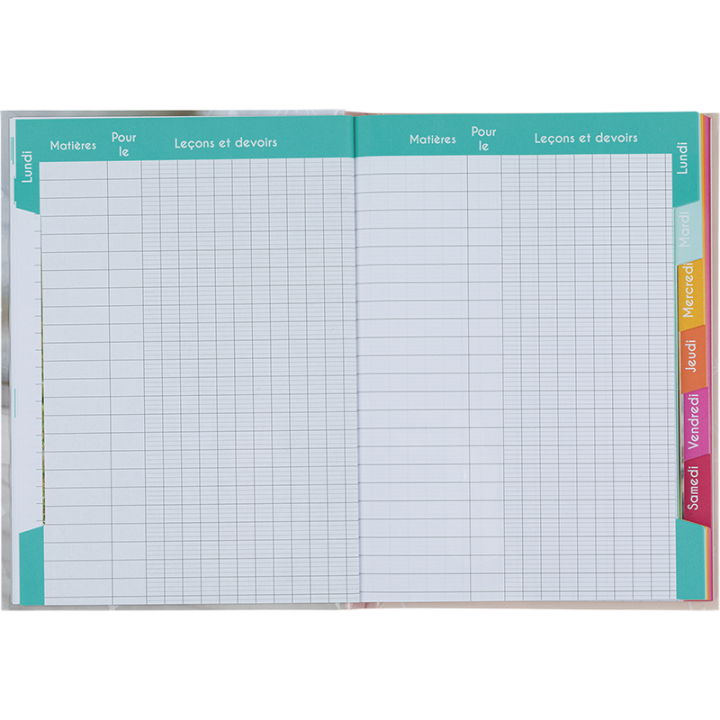 Cahier de textes Chaton PEFC 2026-2027 - Collection Scolaire | Oberthur