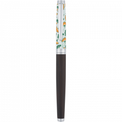 Stylo plume à piston transparent stylo à encre transparente ef f plume  extra fine grande capacité écriture eig88