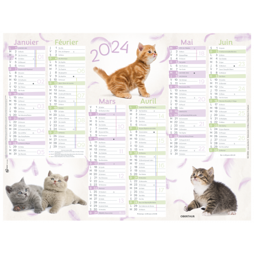 Calendrier 6 mois Color Story PEFC 2024 - Calendriers