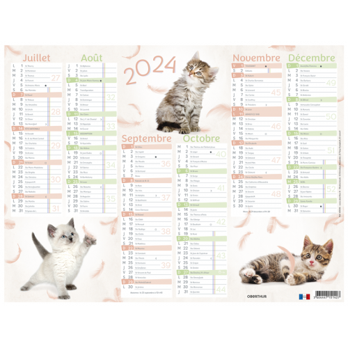 Calendrier 6 mois Chatons PEFC 2024 - Calendriers