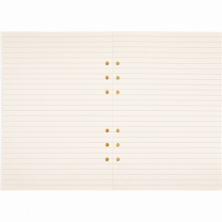 Recharge organiseur 30 pages de notes