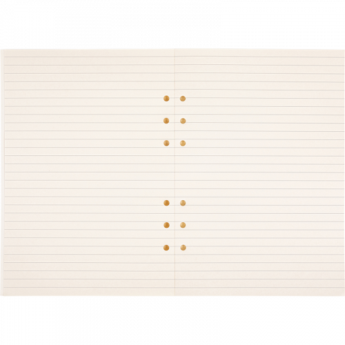Recharge organiseur 30 pages de notes