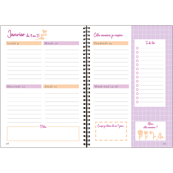 Agenda Flores 2027