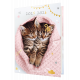 Agenda Chaton PEFC 2025-2026