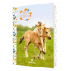 Agenda Cheval PEFC 2025-2026