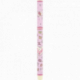 Stylo roller Astro