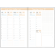 Agenda Capri FSC 2026