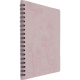 Agenda Primrose FSC 2026