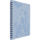 Agenda Primrose FSC 2026