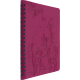 Agenda Primrose FSC 2026
