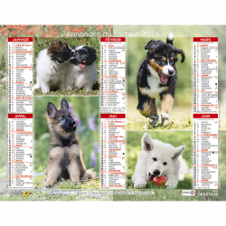 Almanach du facteur 2026 chiots