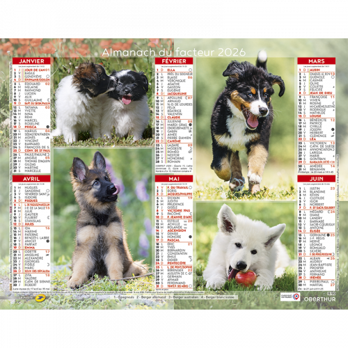 Almanach du facteur 2026 chiots