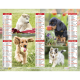 Almanach du facteur 2026 chiots