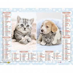 Almanach du facteur 2025 Chatons Chiots