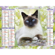 Almanach calendrier du facteur 2025 Chats
