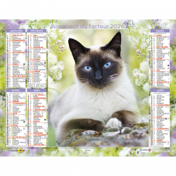 Almanach calendrier du facteur 2025 Chats