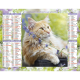 Almanach calendrier du facteur 2025 Chats