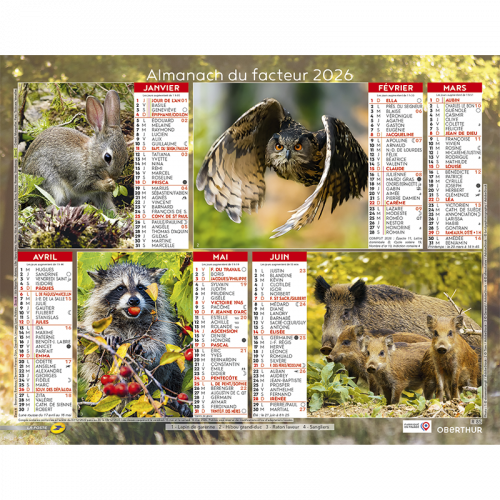 Almanach du facteur 2026 Animaux de la forêt