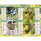 Almanach du facteur 2026 Oiseaux familiers