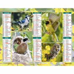 Almanach du facteur 2026 Oiseaux familiers