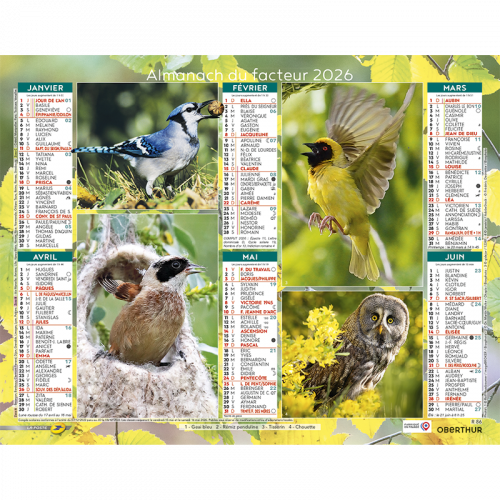 Almanach du facteur 2026 Oiseaux familiers