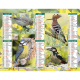 Almanach du facteur 2026 Oiseaux familiers