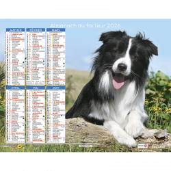 Almanach calendrier du facteur 2026 Chiens