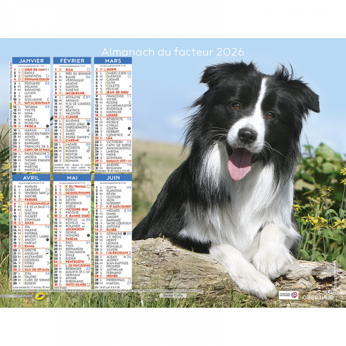 Almanach calendrier du facteur 2026 Chiens
