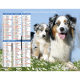 Almanach calendrier du facteur 2026 Chiens