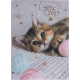 Agenda Chaton PEFC 2026-2027