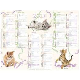 Calendrier 6 mois Chatons PEFC 2027