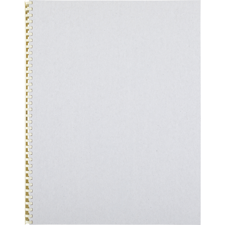 Recharge agenda 82710 - 27 classique spiralée FSC 2027