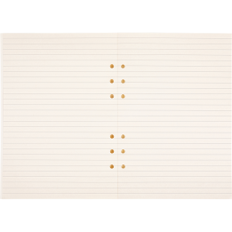 Recharge organiseur 21 pages de notes